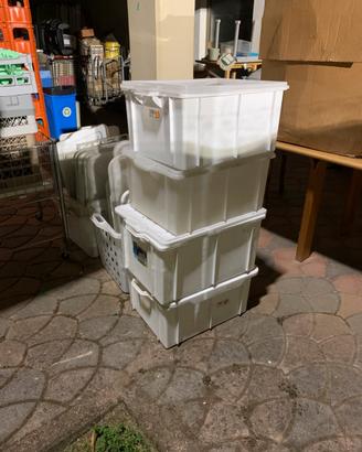 Stock vasche cassette bacinelle alimenti coperchi