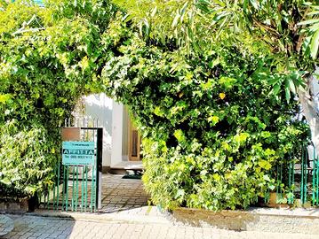 Trilo Galvani_cortile_clima_250 m dal mare_cod G2