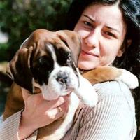 Boxer cuccioli