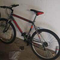 bicicletta MTB Masciaghi Girardengo uomo 26"