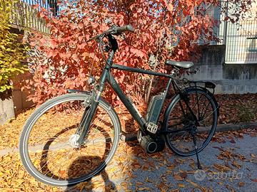 bicicletta elettrica