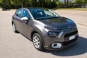 Citroën C3 1.2 PureTech 83 You – Agosto 2024