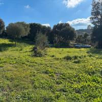 Terreno a 3 km dal Mare