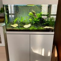 Acquario Oase StyleLine175 + BioMaster Thermo350