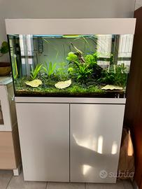 Acquario Oase StyleLine175 + BioMaster Thermo350