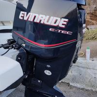 Evirude e-tec 150