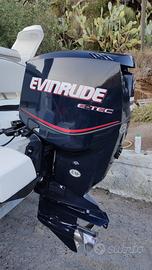 Evirude e-tec 150