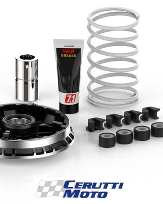 Variatore malossi MULITIVAR BMW / VOGE