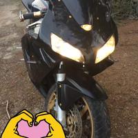 Cbr rr 600 2003