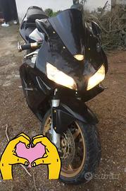 Cbr rr 600 2003