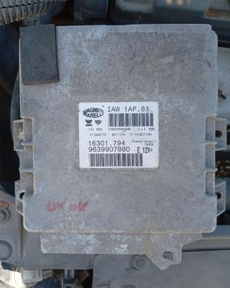 Centralina motore Peugeot 206