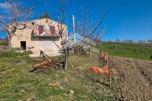Prezzo Ribassato - Casa con terreno