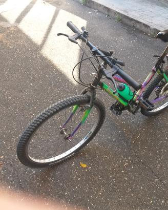 Bicicletta Mountabike 