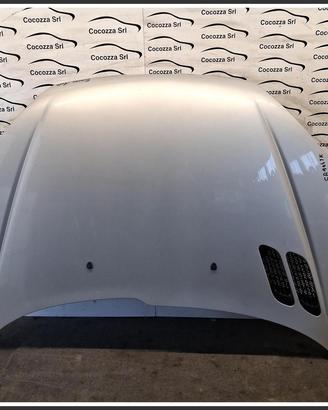 Cofano Motore Anteriore PEUGEOT 206 7901K1