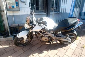 Aprilia shiver 750