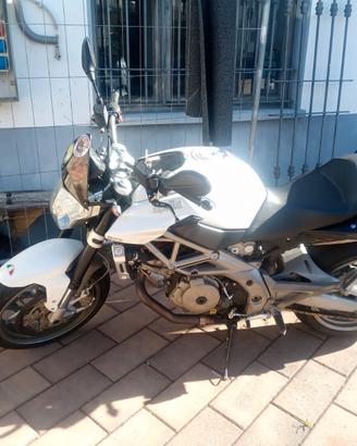 Aprilia shiver 750