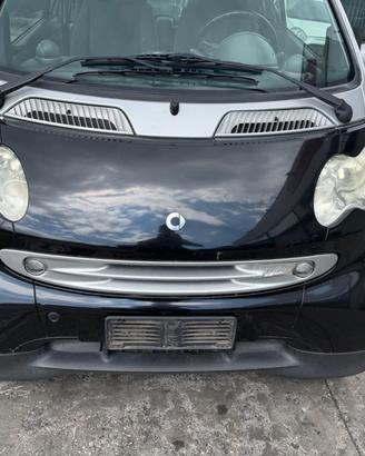 musata in plastica smart fortwo 450 2006