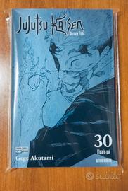 Jujutsu kaisen 30 variant
