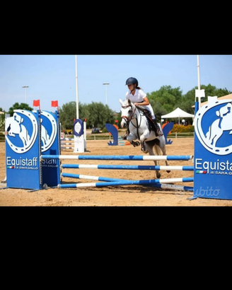 Pony salto ostacoli