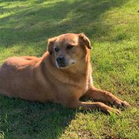 Sara 11 anni