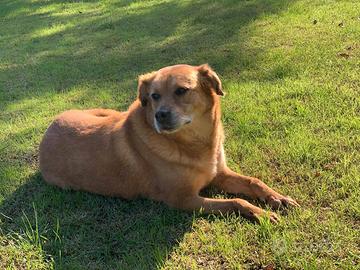 Sara 11 anni