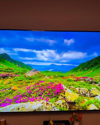 Tv smart UHD 4k LG 86pollici