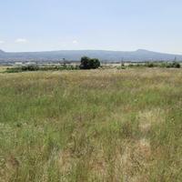 Terreno 11 ettari Strada Castiglione Viterbo