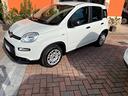 fiat-panda-1-0-firefly-s-s-hybrid-garanzia-fiat
