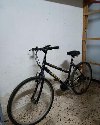 Bicicletta 