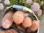 Immagine 6