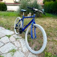 MTB Bottecchia