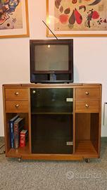 Mobile TV