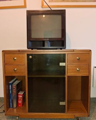 Mobile TV