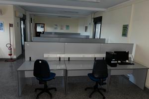 Fall 1/2023 Trib Patti - lotto 1