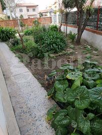 Villa bifamiliare Oristano [Cod. rif 3299916VRG]