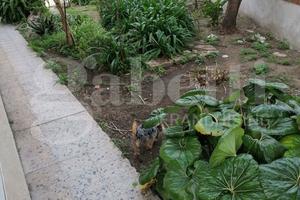 Villa bifamiliare Oristano [Cod. rif 3299916VRG]