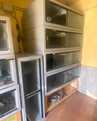 Teche professionali per rettili