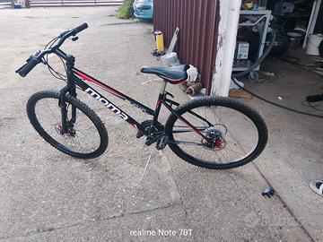 bicicletta