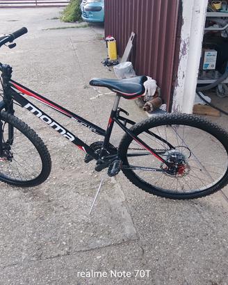 bicicletta