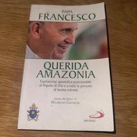 Papà Francesco guerida amazonia