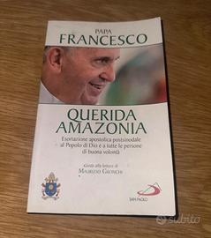 Papà Francesco guerida amazonia