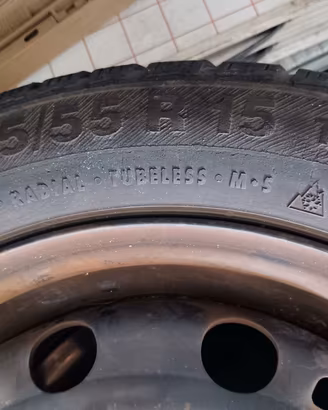 Gomme invernali