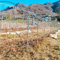 centine serra larghezza 6mt