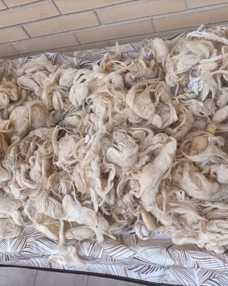 lana vergine di pecora lavata 5 kg 