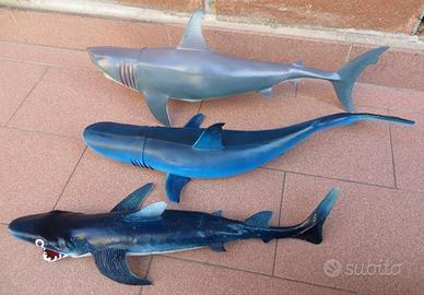 Squali di gomma, 15 euro l'uno