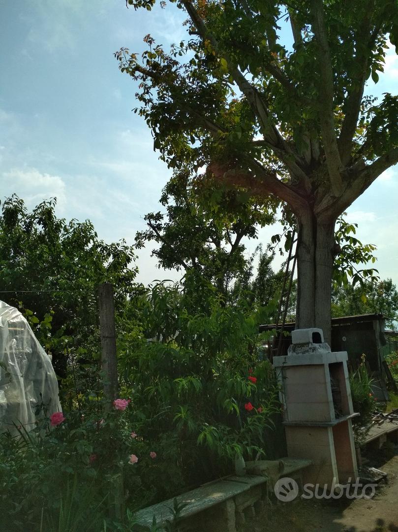 Terreno None 2700 m² - Vista 3