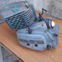 Motore Rotax 250