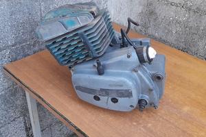 Motore Rotax 250