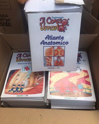 Collana completa il corpo umano