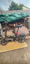 Biciclette  elettrica